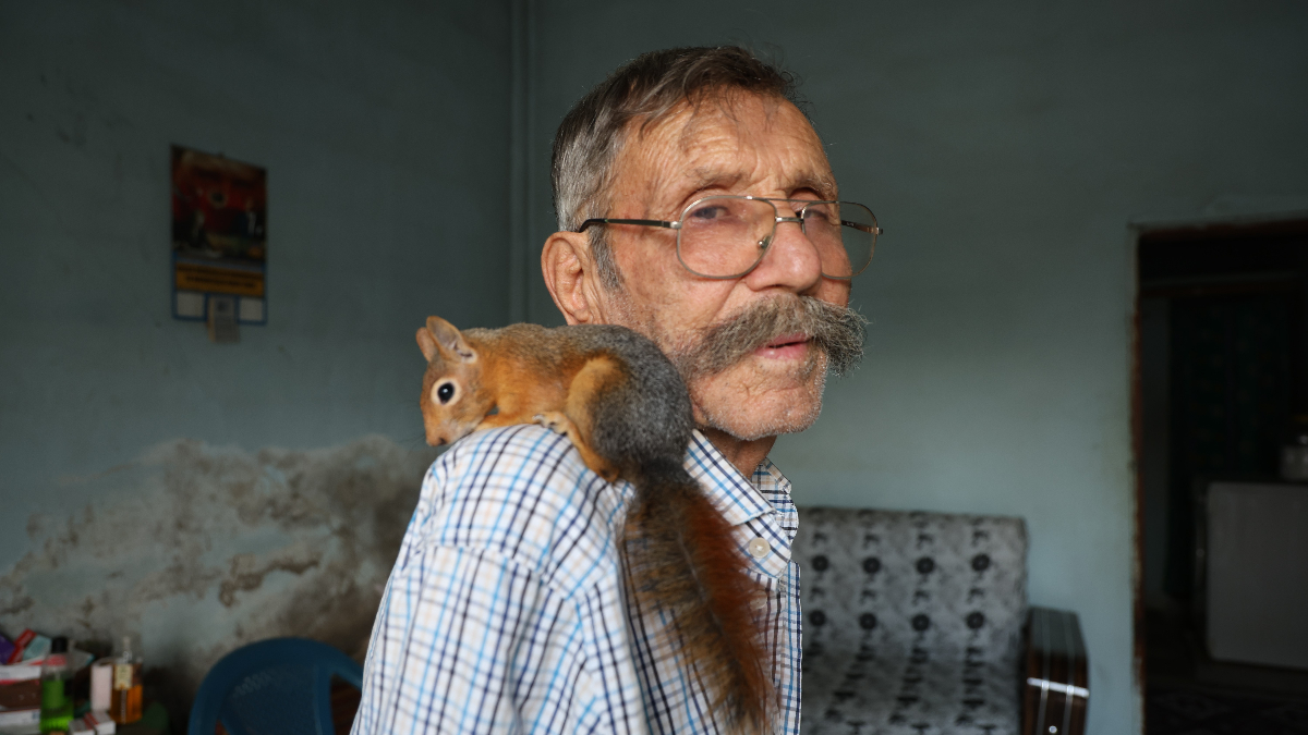 adanada yalniz kalan 6 cocuk babasi kurtardigi sincap ile dost oldu yTFjAG22