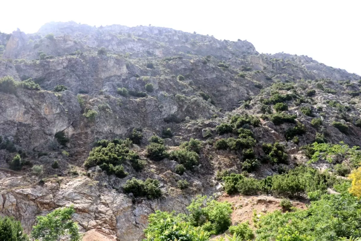 ispartada kaybolan 75 yasindaki adam icin arama calismalari baslatildi nv9bSk5z.jpg