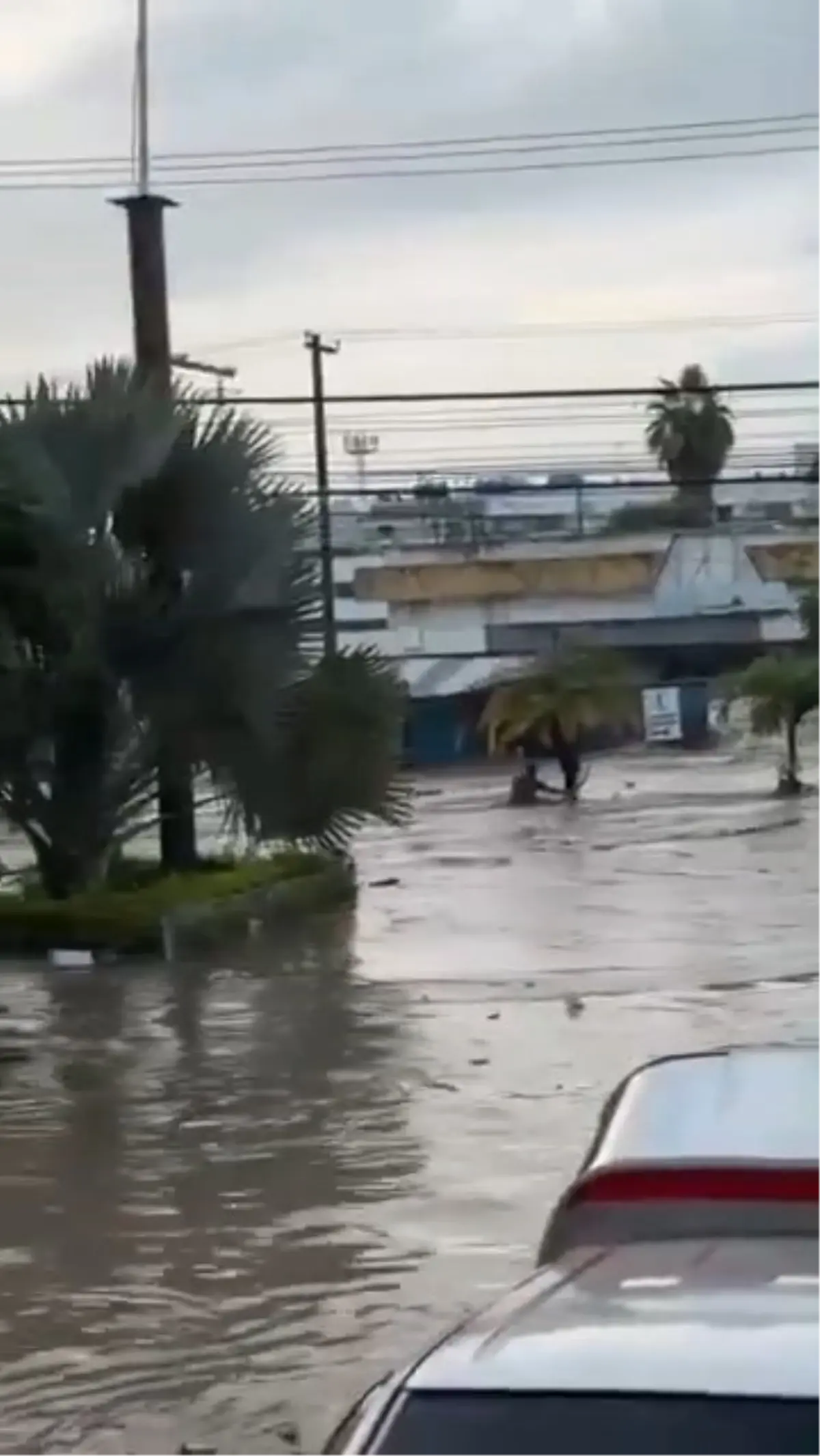 meksikada siddetli yagislar sele neden oldu 41 olu 6caOvN1n.jpg