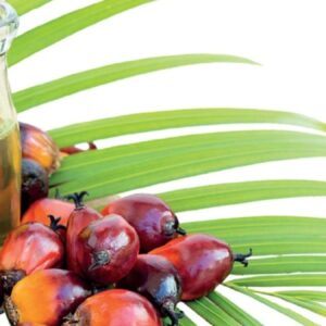 palm yagi ne kadar masum VDd3pWZZ.jpg