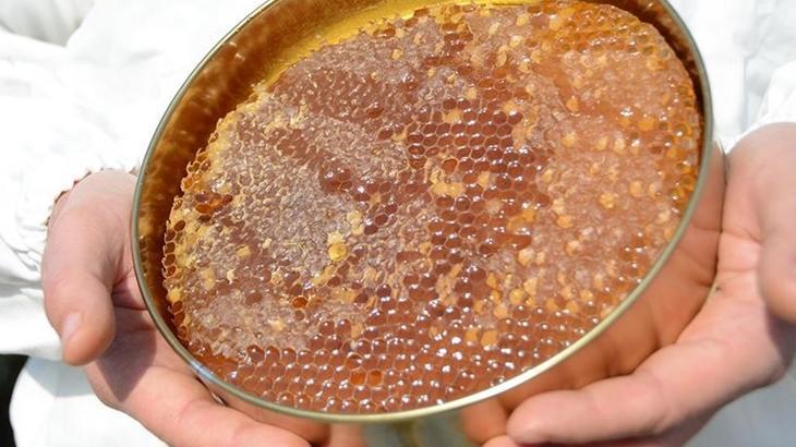 turk balinda 234 milyon dolarlik ihracat gerceklestirildi 3eyxOPiO.jpg