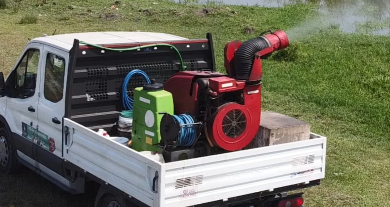 İstanbul’da Karasinek ve Sivrisinek Tehdidine Karşı Önlemler Alınıyor